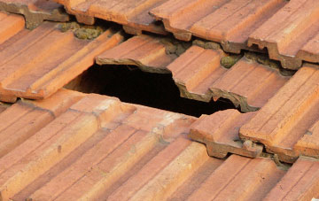 roof repair Higher Tale, Devon