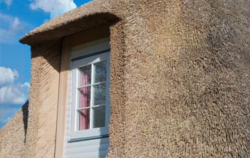 Higher Tale thatch roof disadvantages